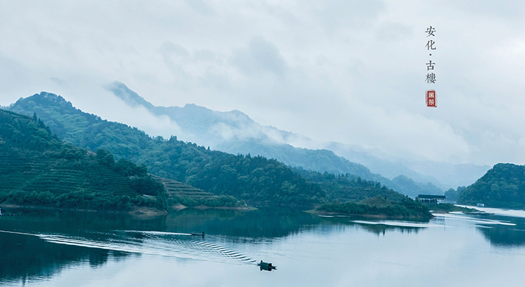 市长论坛：黑茶之乡——安化