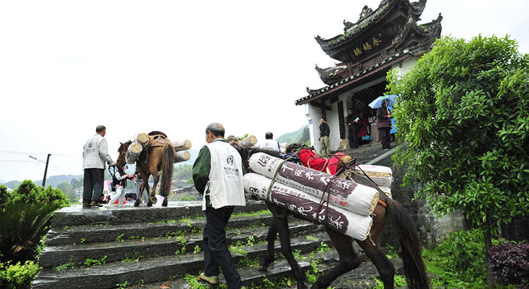 市长论坛：安化黑茶文化节将于10月27日开幕