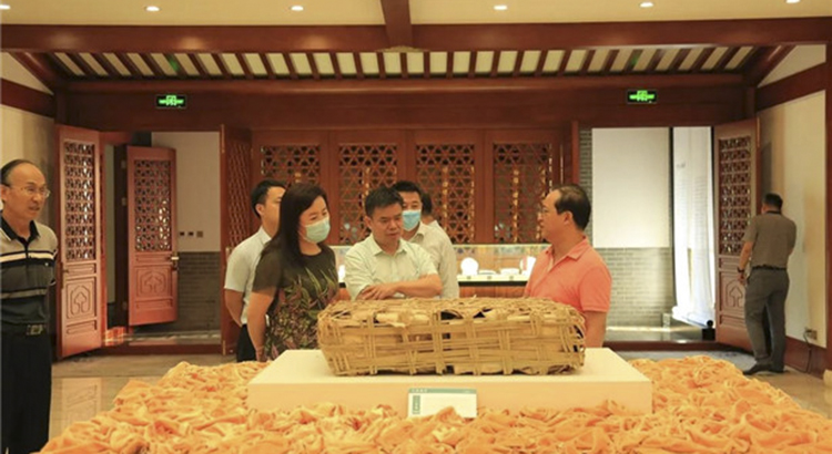 北京文投国际高层来访调研