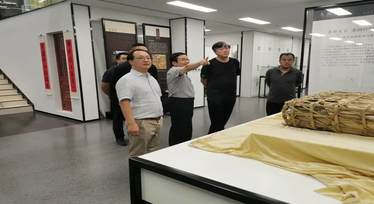 茶道动态 | 南平农业农村局领导来访，商讨推进 “三茶”统筹发展工作